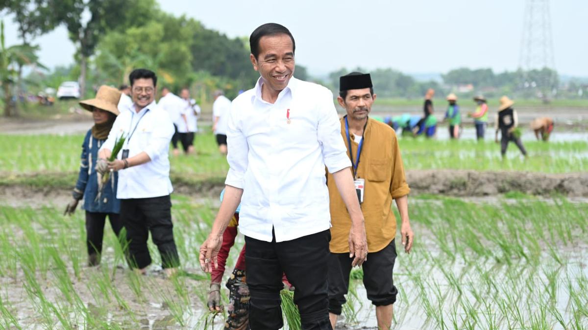 Jokowi Disarankan Tiru Strategi Soeharto soal Pangan Murah